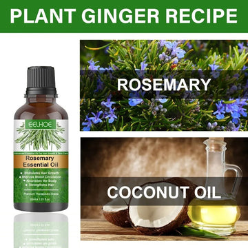 30 Ml Rosemary Essential Oil Hair Growth Oils Pure Natural 30ML Hair Essential Oils