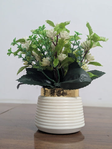 3 Plants For Your Desk & Office Table